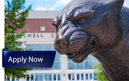 Apply to USA