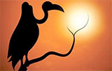 silhouette of stork on a branch