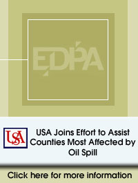 Oil Spill Efforts