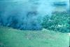 Burning tall grass around tree island in the dry season, 1976.