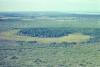 Tree island and savanna, 1976. This tree island and others are now part of the El Palmar Reserve.