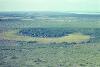 Tree island and savanna, 1976. This tree island and others are now part of the El Palmar Reserve.