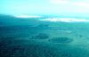 Tree islands (Petenes) and savannas on the semi-arid northwest coast of Yucatan, 1976.