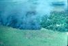 Burning tall grass around tree island in the dry season, 1976.