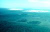 Tree islands (Petenes) and savannas on the semi-arid northwest coast of Yucatan, 1976.