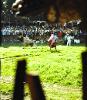 Bullfighting, Oxkutzcab, 1977 bullfighter