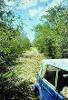 Road to Xkukican, 1972