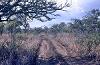 Road to Hochob archaeological site, 1972