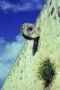 Ball court ring, Chichen-Itza, 1979