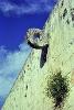 Ball court ring, Chichen-Itza, 1979