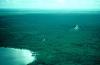Nohoch Mul pyramid and Pintura structure, Coba, 1974.