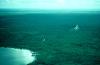 Nohoch Mul pyramid and Pintura structure, Coba, 1974.