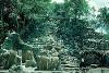 Pintura structure, Coba, 1974