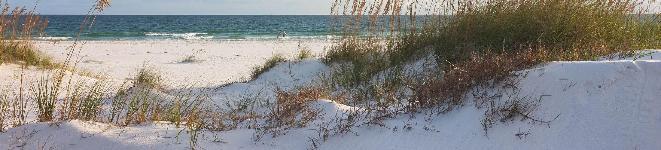 Gulf Shores Beach, a short drive from our gulf coast college.