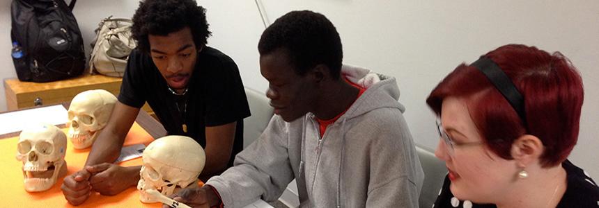 Three students working in Forensic Science