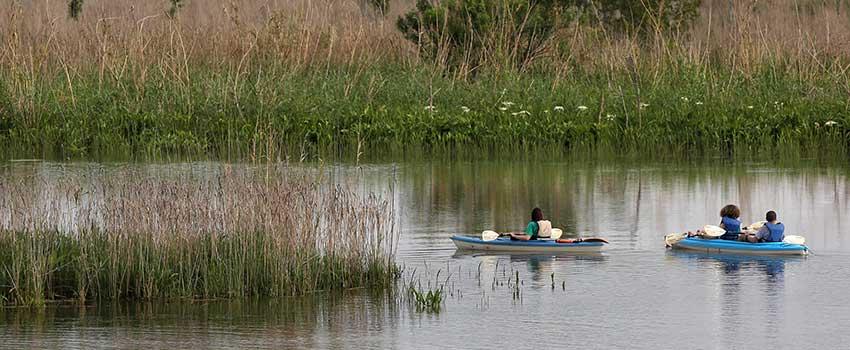 Two people in kayaks in water