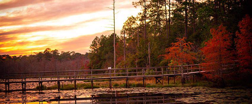 Sunset view of bridge over water