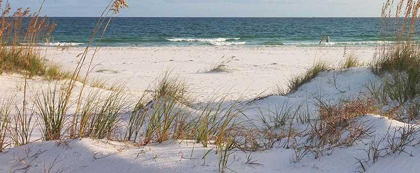 Beach view showing water and sand