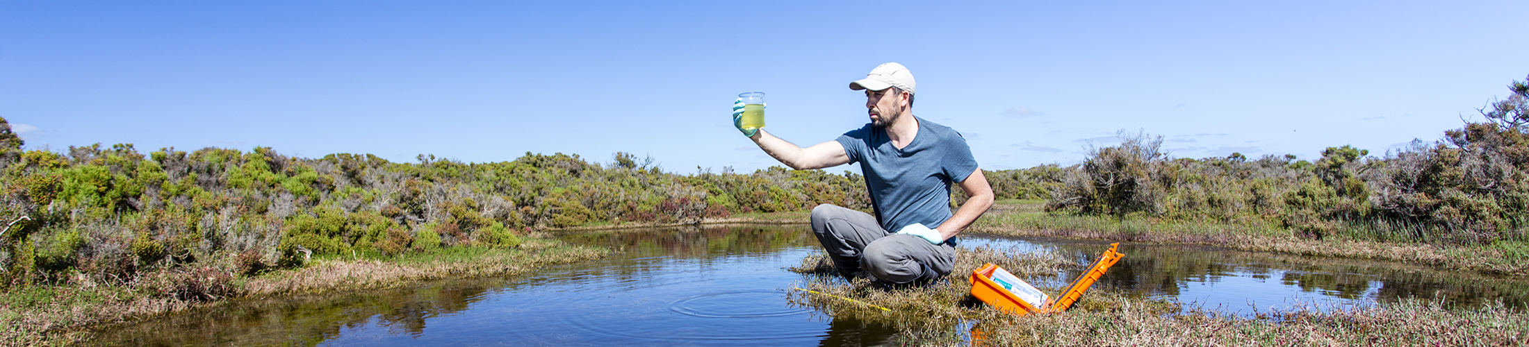 Man working with specimen sitting in water.