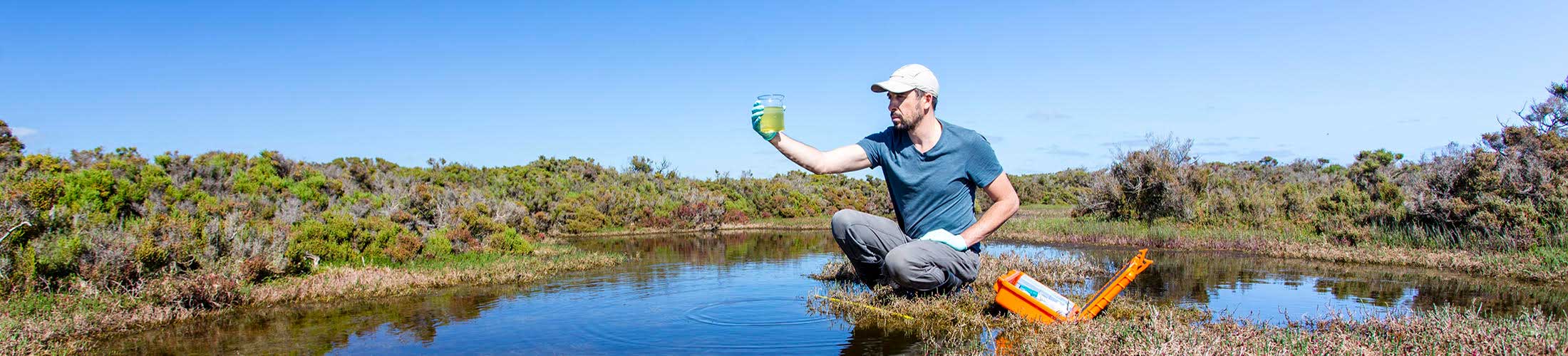 Man working with specimen sitting in water.