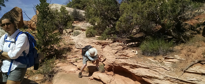 Student working outside looking at rocks.