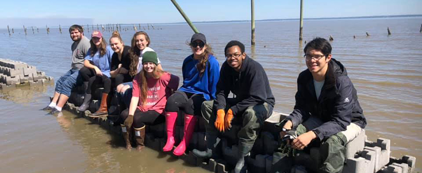 Environmental and Sustainability Sciences students sitting on blocks in water.