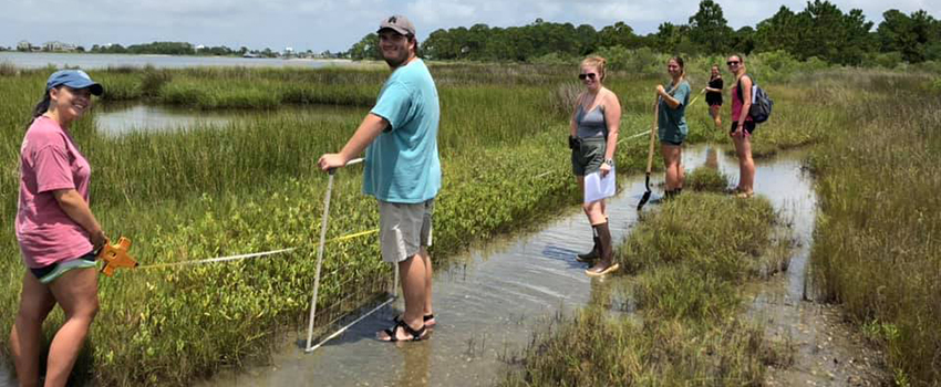 Students working in water measuring.