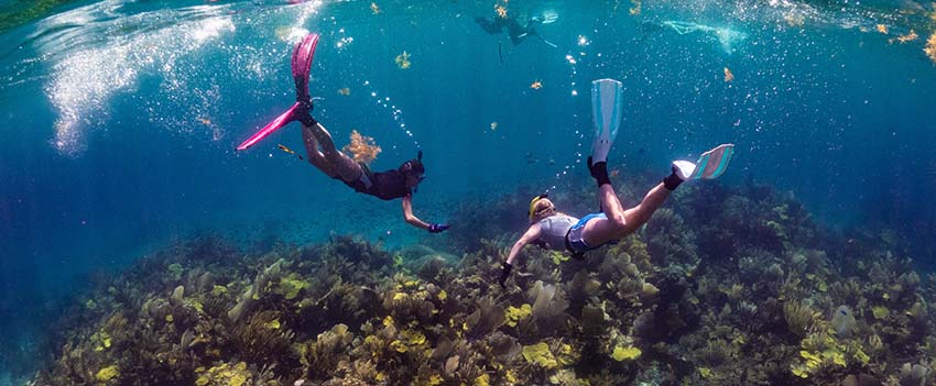 Divers on reef