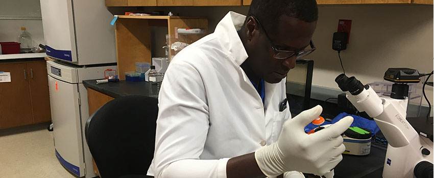 Student working in lab with samples wearing a white coat.