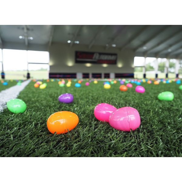 Closeup of eggs on field