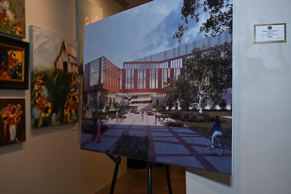 Frederick P. Whiddon College concept art