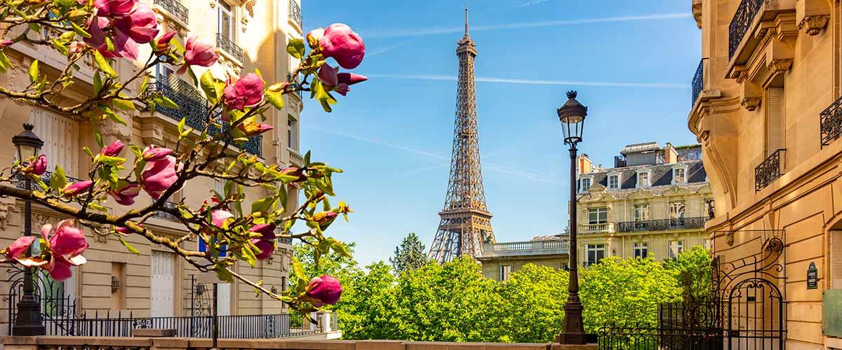 Eiffel tower with flowers 
