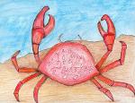 Conserving & Enjoying Alabama’s Coastal Resources 2008 3
