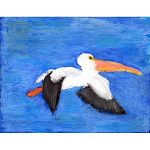 Conserving & Enjoying Alabama’s Coastal Resources 8