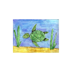 Conserving & Enjoying Alabama’s Coastal Resources 9
