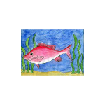 Conserving & Enjoying Alabama’s Coastal Resources 6