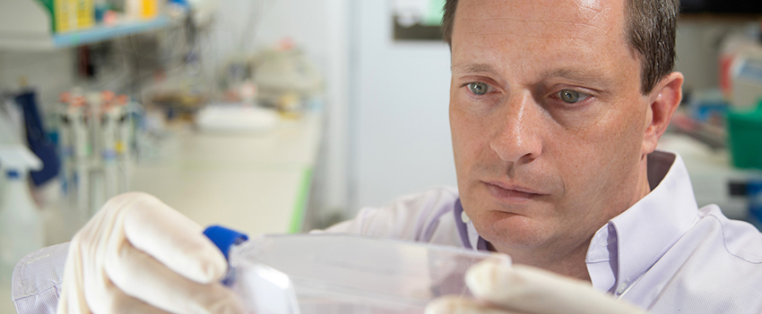 Glen Borchert, Ph.D., in the lab collecting data.
