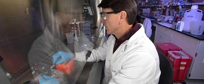 Dr. Jonathan Rayner working in lab.