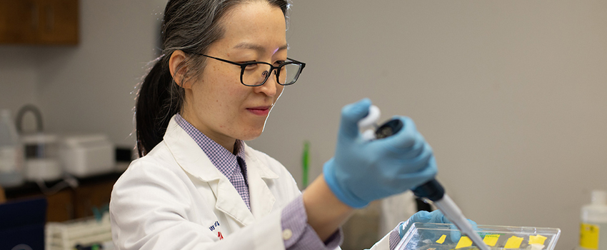 Physician-scientist Ji Young Lee, M.D., Ph.D. working in lab.