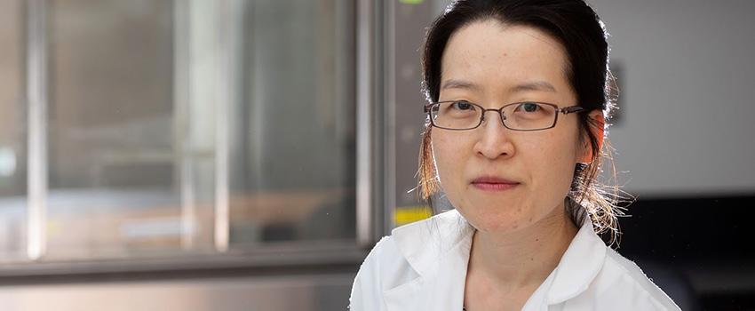 Dr. Ji Young Lee, assistant professor of physiology, cell biology and internal medicine at the University of South Alabama College of Medicine, recently received a $231,000 three-year Career Development Award from the American Heart Association. The grant will allow Dr. Lee to study the effects of acidosis on pneumonia.