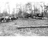 Thomas E. Armitstead Photo Gallery, transporting logs