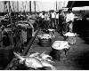 Erik Overbey Photo Gallery - fishing boats unloading