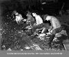 Shucking oysters, 1935