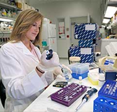 USA Researcher working in a laboratory