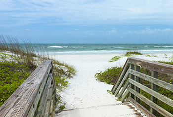 Gulf Coast Beach