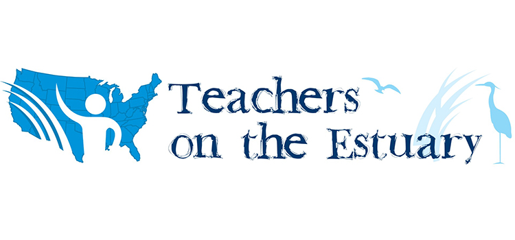 Teachers on the Estuary Logo