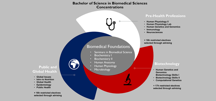 Image of biomedical sciences concentrations.