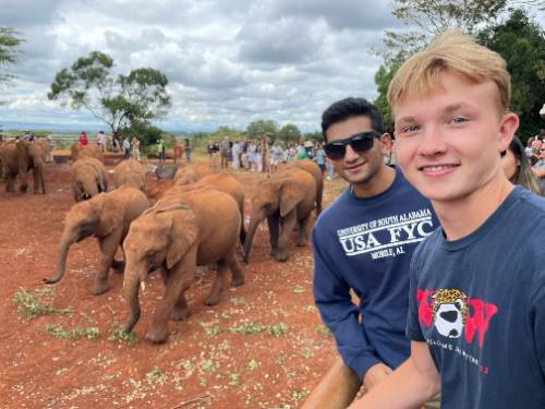 Two USA students in Kenya with elephants walking by.
