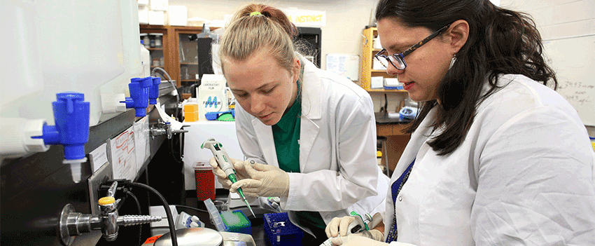 research opportunities for biology undergraduates