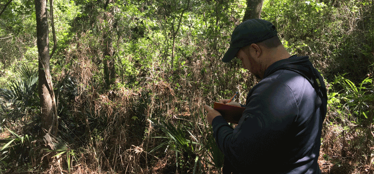 Joel Borden gazing in the forest